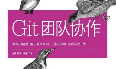 Git团队协作（二）：如何组织一个富有成效的会议？